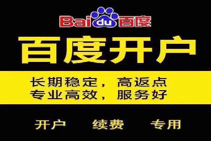 竞价广告在提升品牌知名度中的作用：XX品牌的成功故事